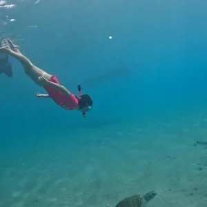 Willemstad Half day snorkeling trip | About Jackie Fine Diving