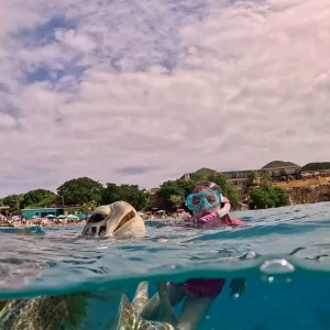 Willemstad Half day snorkeling trip | About Jackie Fine Diving